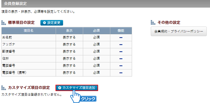 カスタマイズ項目の設定